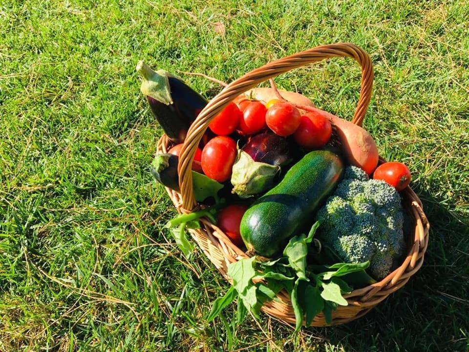 Furnaka Eco Village Lourinha  Ngoại thất bức ảnh